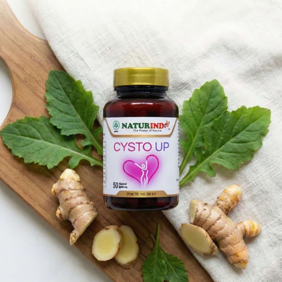 Produk Cysto Up NATURINDO dengan bahan herbal alami